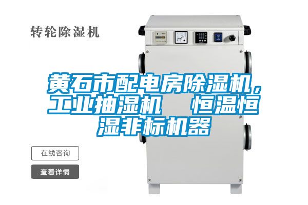 黃石市配電房除濕機，工業抽濕機  恒溫恒濕非標機器