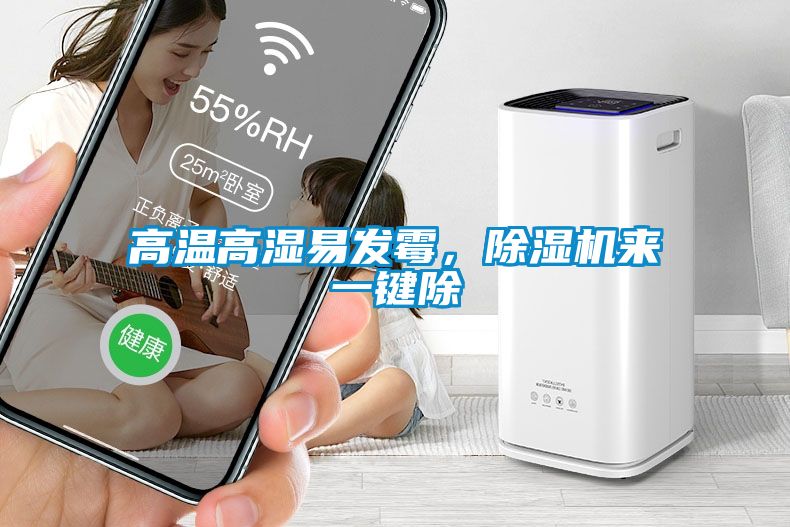 高溫高濕易發霉，除濕機來一鍵除