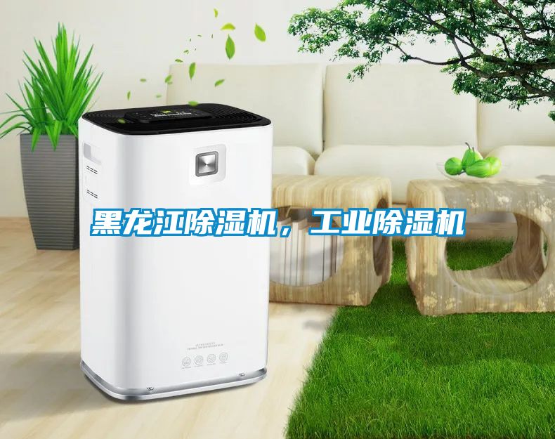 黑龍江除濕機，工業除濕機