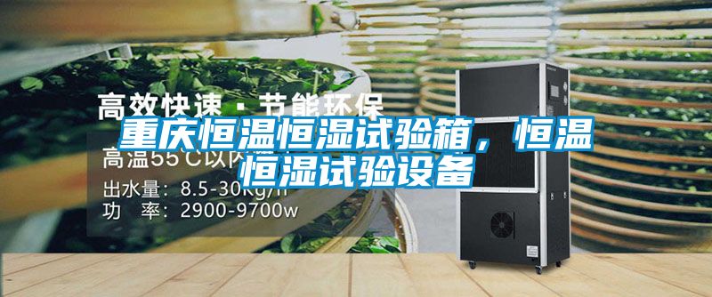 重慶恒溫恒濕試驗箱，恒溫恒濕試驗設備