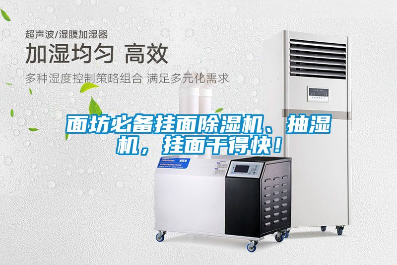 面坊必備掛面除濕機、抽濕機，掛面干得快！