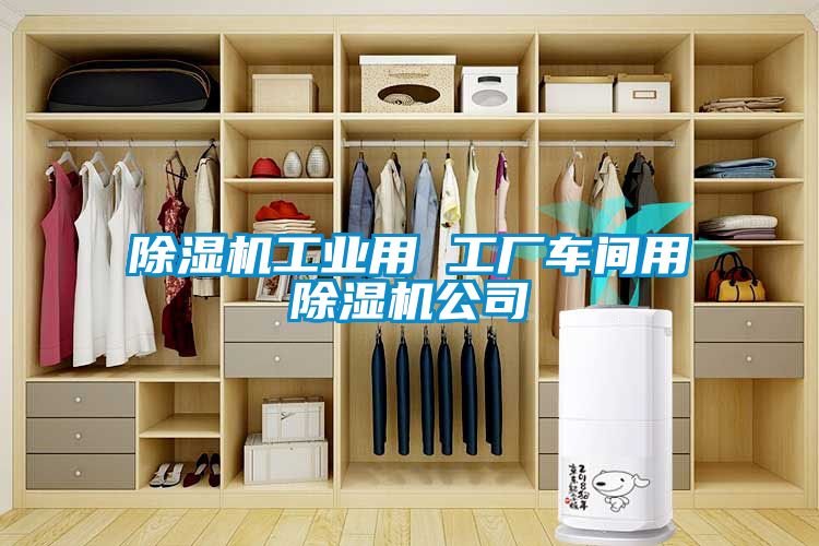 除濕機工業用 工廠車間用除濕機公司