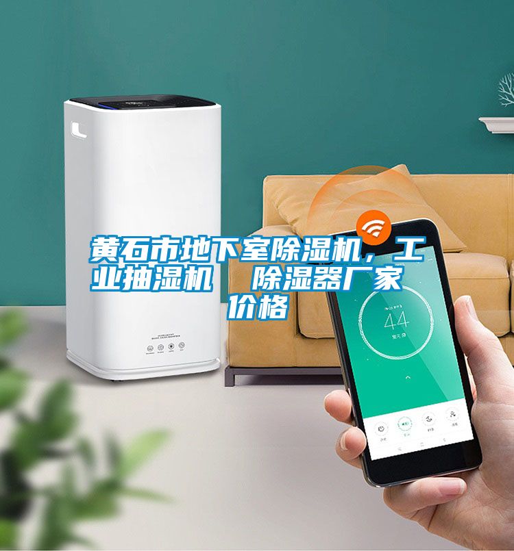 黃石市地下室除濕機，工業抽濕機  除濕器廠家 價格