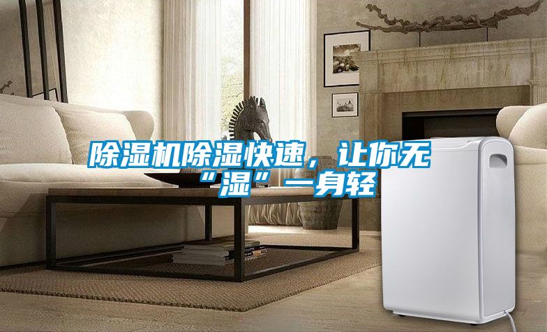 除濕機除濕快速，讓你無“濕”一身輕