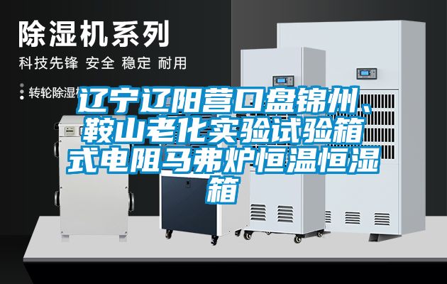 遼寧遼陽營口盤錦州、鞍山老化實驗試驗箱式電阻馬弗爐恒溫恒濕箱