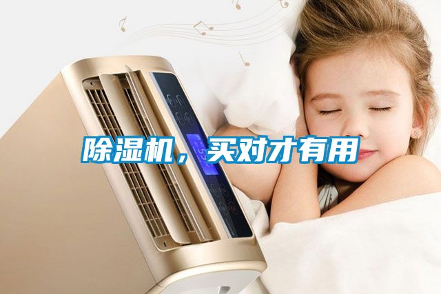 除濕機，買對才有用