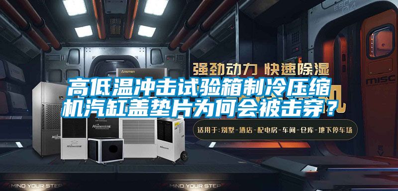 高低溫沖擊試驗箱制冷壓縮機汽缸蓋墊片為何會被擊穿？