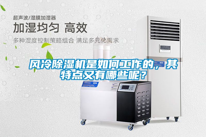 風冷除濕機是如何工作的，其特點又有哪些呢？
