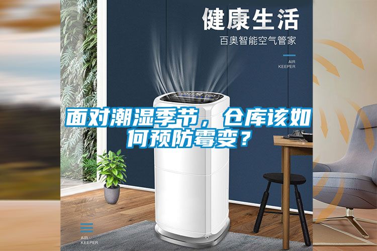 面對潮濕季節，倉庫該如何預防霉變？