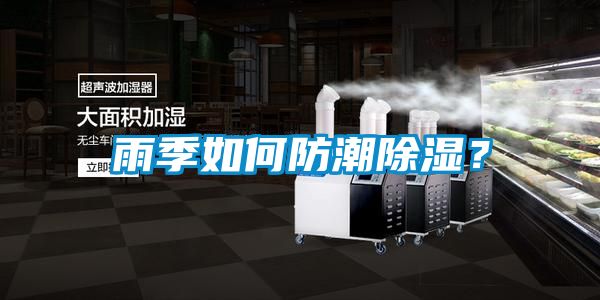 雨季如何防潮除濕？