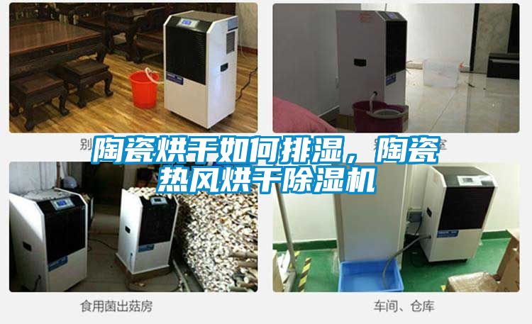 陶瓷烘干如何排濕，陶瓷熱風烘干除濕機