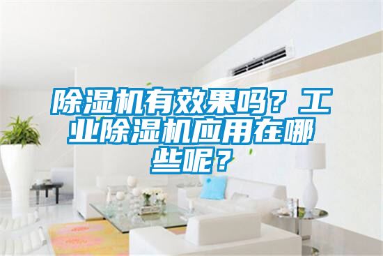 除濕機有效果嗎？工業除濕機應用在哪些呢？