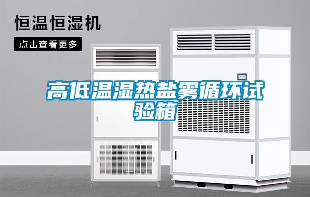 高低溫濕熱鹽霧循環試驗箱