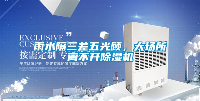 雨水隔三差五光顧，大場所離不開除濕機