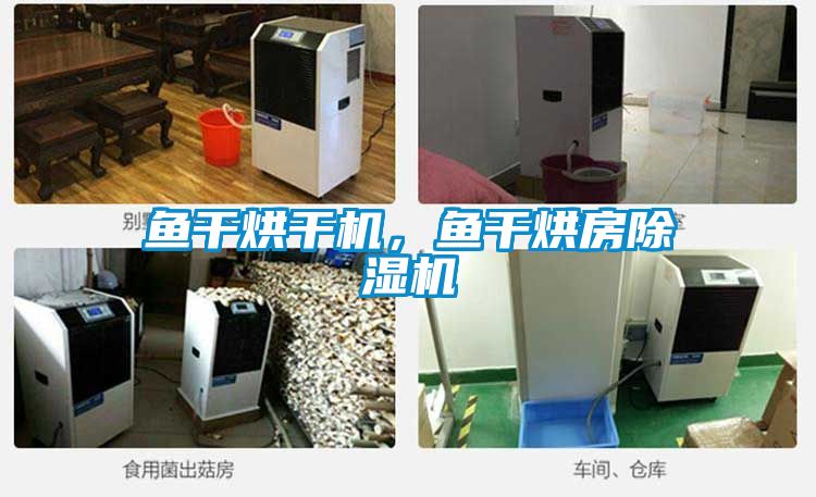 魚干烘干機，魚干烘房除濕機