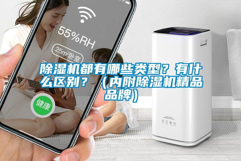 除濕機都有哪些類型？有什么區別？（內附除濕機精品品牌）