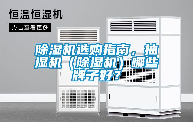 除濕機選購指南，抽濕機（除濕機）哪些牌子好？