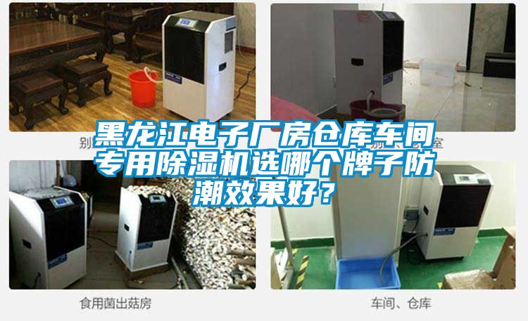 黑龍江電子廠房倉庫車間專用除濕機選哪個牌子防潮效果好？