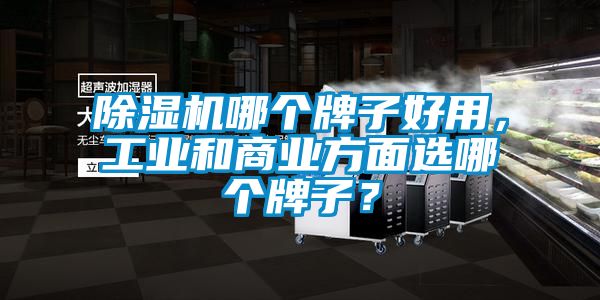 除濕機哪個牌子好用，工業和商業方面選哪個牌子？