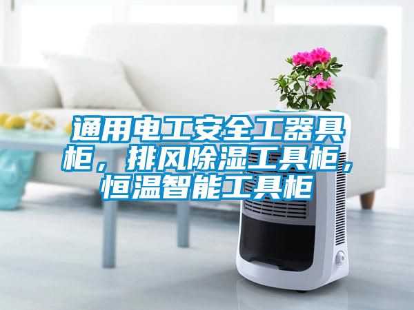 通用電工安全工器具柜，排風除濕工具柜，恒溫智能工具柜
