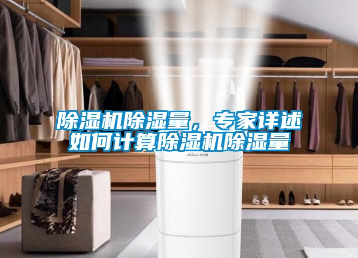 除濕機除濕量，專家詳述如何計算除濕機除濕量