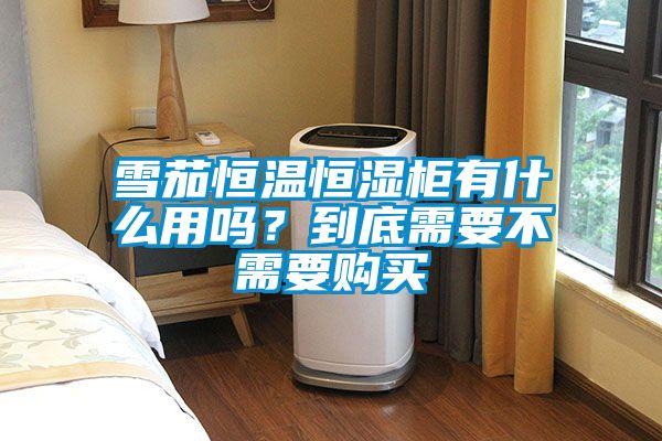 雪茄恒溫恒濕柜有什么用嗎？到底需要不需要購買