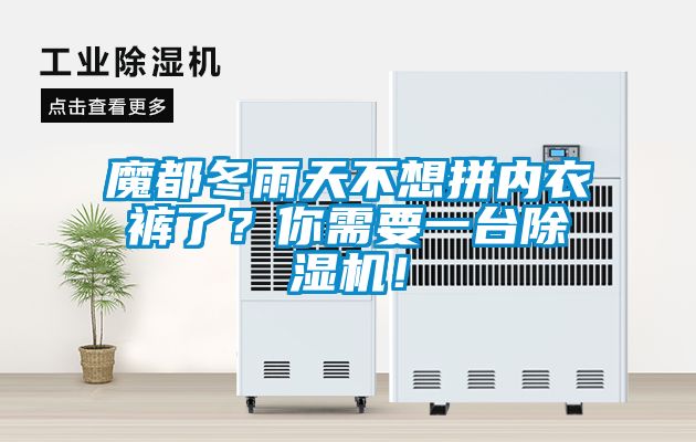 魔都冬雨天不想拼內衣褲了？你需要一臺除濕機！