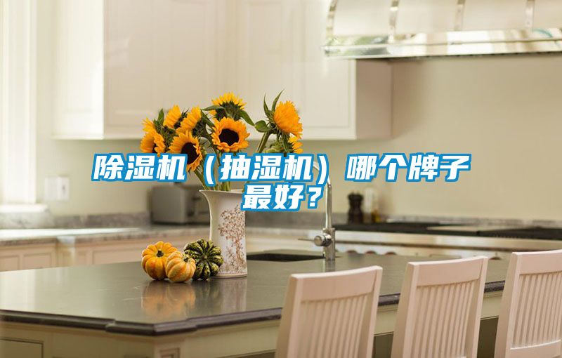 除濕機（抽濕機）哪個牌子最好？