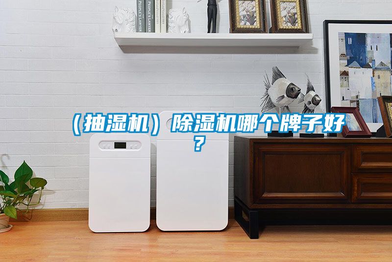 （抽濕機）除濕機哪個牌子好？