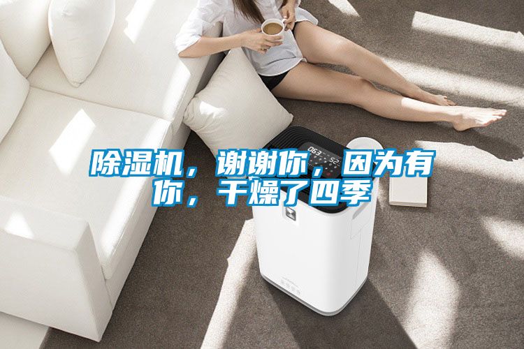 除濕機，謝謝你，因為有你，干燥了四季
