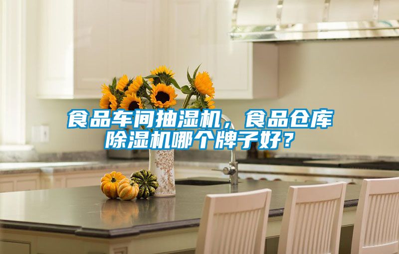 食品車間抽濕機，食品倉庫除濕機哪個牌子好？