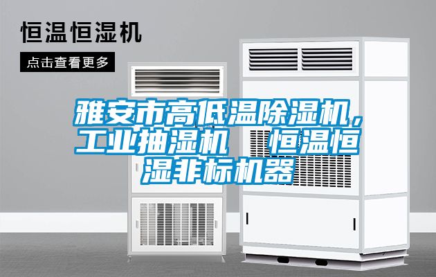 雅安市高低溫除濕機，工業抽濕機  恒溫恒濕非標機器