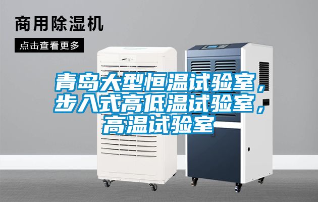 青島大型恒溫試驗室，步入式高低溫試驗室，高溫試驗室
