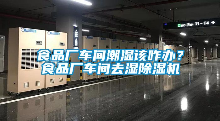 食品廠車間潮濕該咋辦？食品廠車間去濕除濕機