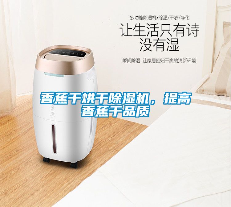 香蕉干烘干除濕機，提高香蕉干品質