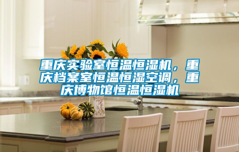 重慶實驗室恒溫恒濕機，重慶檔案室恒溫恒濕空調，重慶博物館恒溫恒濕機