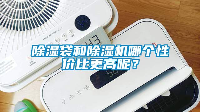 除濕袋和除濕機哪個性價比更高呢？