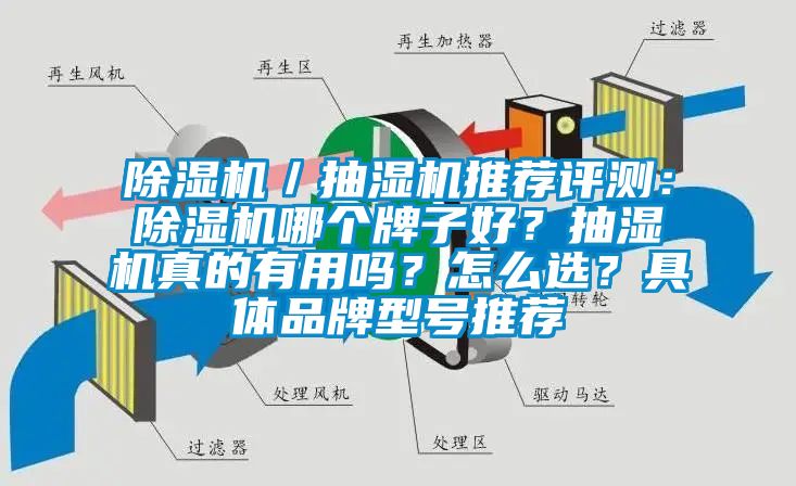 除濕機／抽濕機推薦評測：除濕機哪個牌子好？抽濕機真的有用嗎？怎么選？具體品牌型號推薦