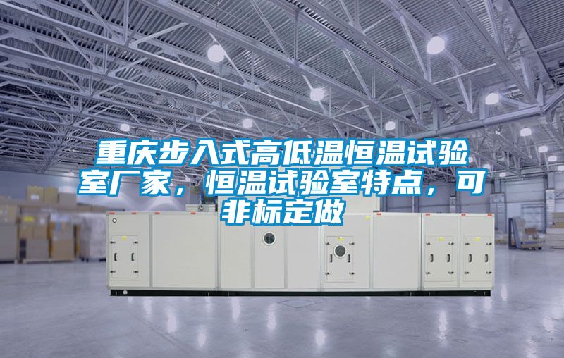重慶步入式高低溫恒溫試驗室廠家，恒溫試驗室特點，可非標定做