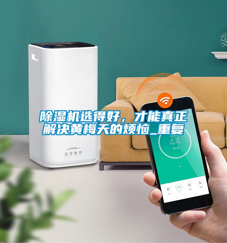 除濕機選得好，才能真正解決黃梅天的煩惱_重復
