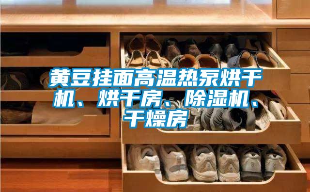黃豆掛面高溫熱泵烘干機、烘干房、除濕機、干燥房