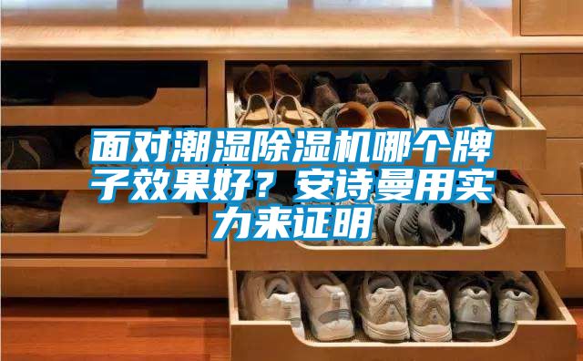 面對潮濕除濕機哪個牌子效果好？安詩曼用實力來證明