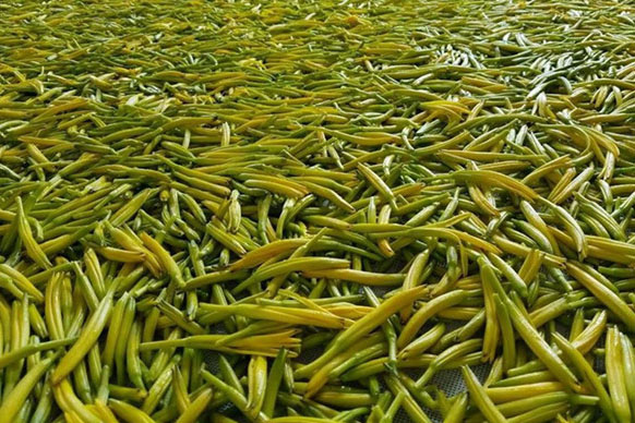 無硫金針菜烘干如何保持品相？不發黑？_除濕機廠家