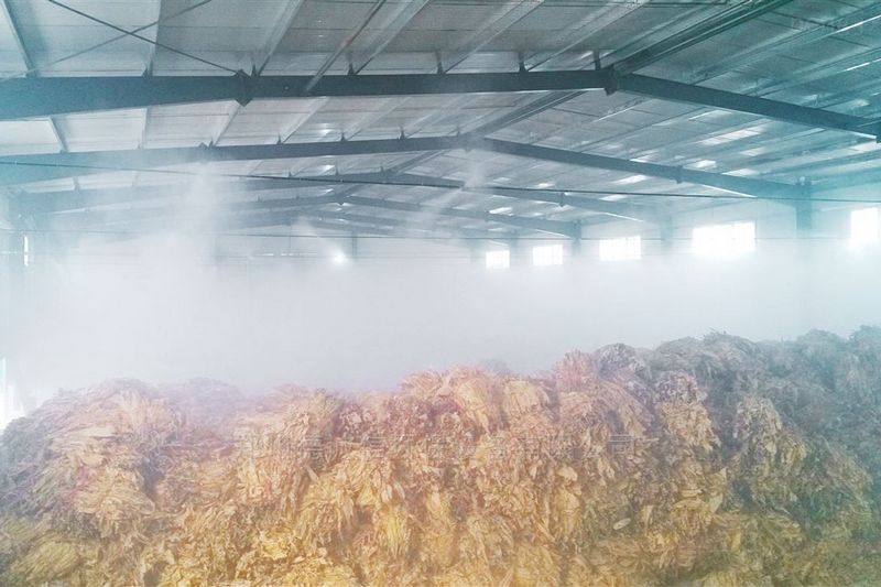 提升煙葉加工質量，高效回潮很重要 煙葉除濕機