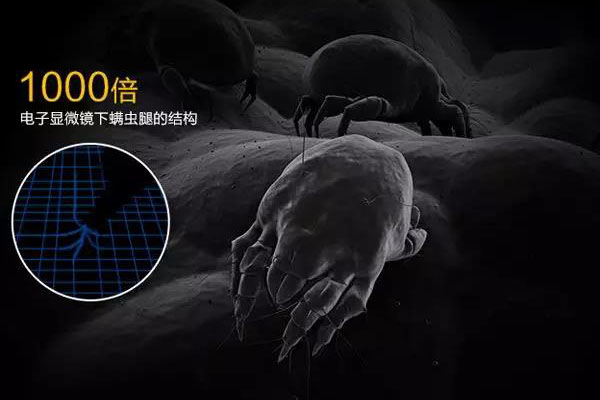 螨蟲高發季，家用除濕機除螨有妙計！
