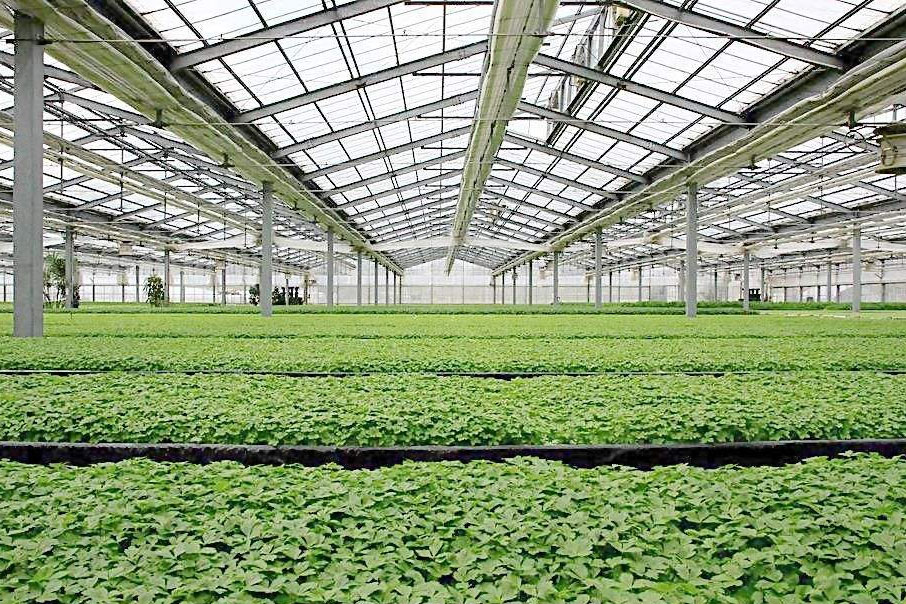 除濕器如何解決高濕度、多種危害的溫室除濕問題？